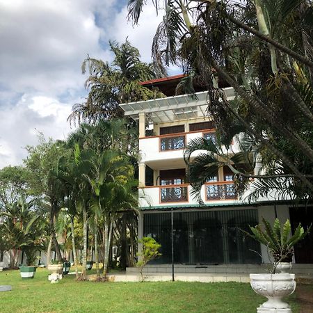 Amani Lake Resort パナドゥラ エクステリア 写真
